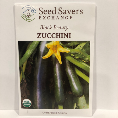 Black Beauty Zucchini Squash, 1957 variety, Organic